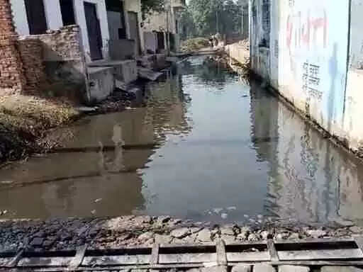 मीरापुर के सिखरेड़ा गांव में जलभराव से हाहाकार! गंदे पानी में मच्छरों का आतंक, बच्चों की पढ़ाई पर संकट &ndash; ग्रामीणों ने की जिलाधिकारी Muzaffarnagar से गुहार