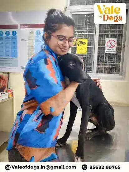 बेज़ुबानों की आवाज़ कौन? - तेजस्विनी गुलाटी (मनोवैज्ञानिक)