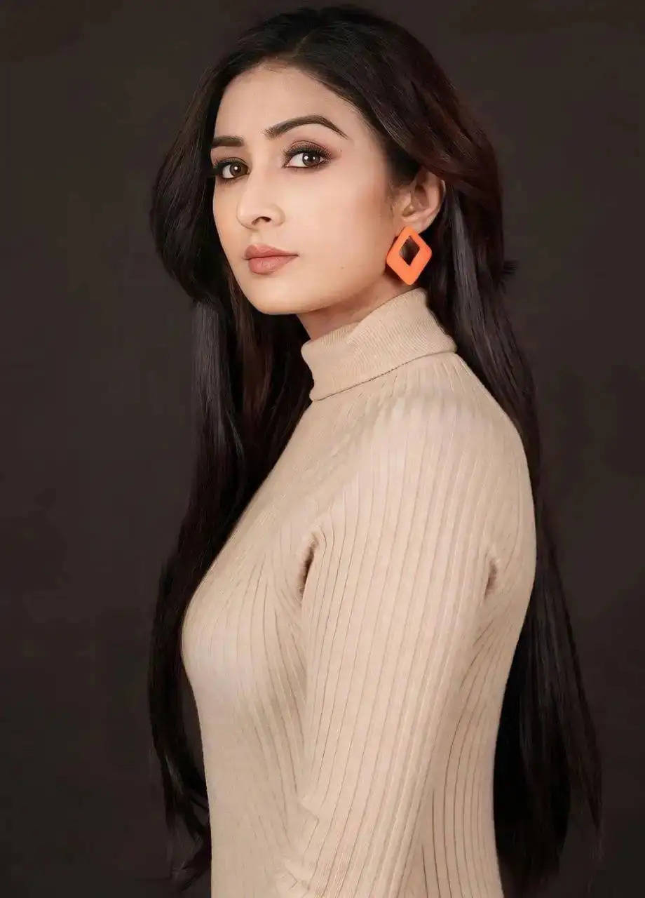 Farnaz Shetty opens up on web series VideoCam Scam