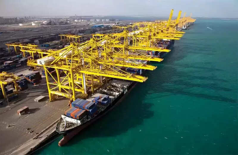 DP World’s Jebel Ali port, free zone act as trade catalyst in boosting UAE-India non-oil trade